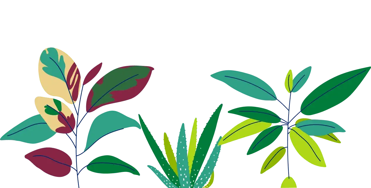 All plants Illustration