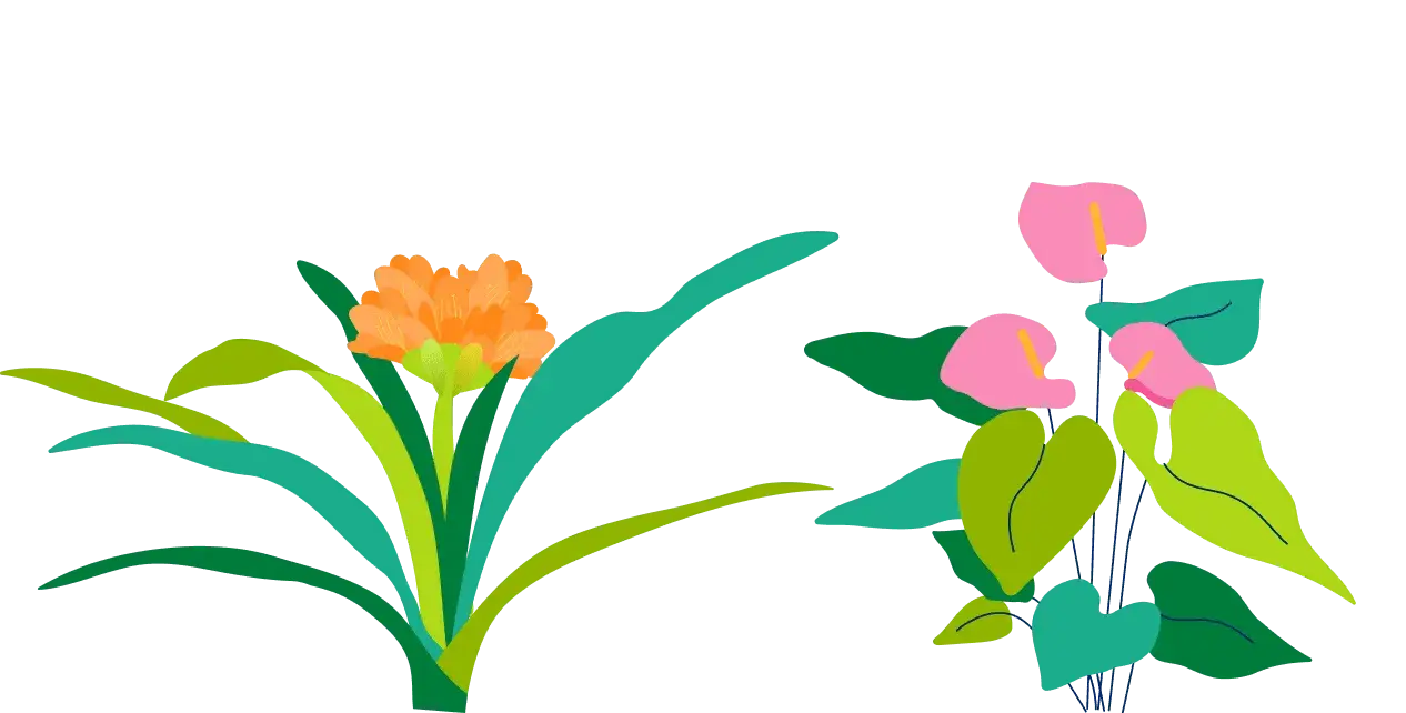 Flowers Illustration