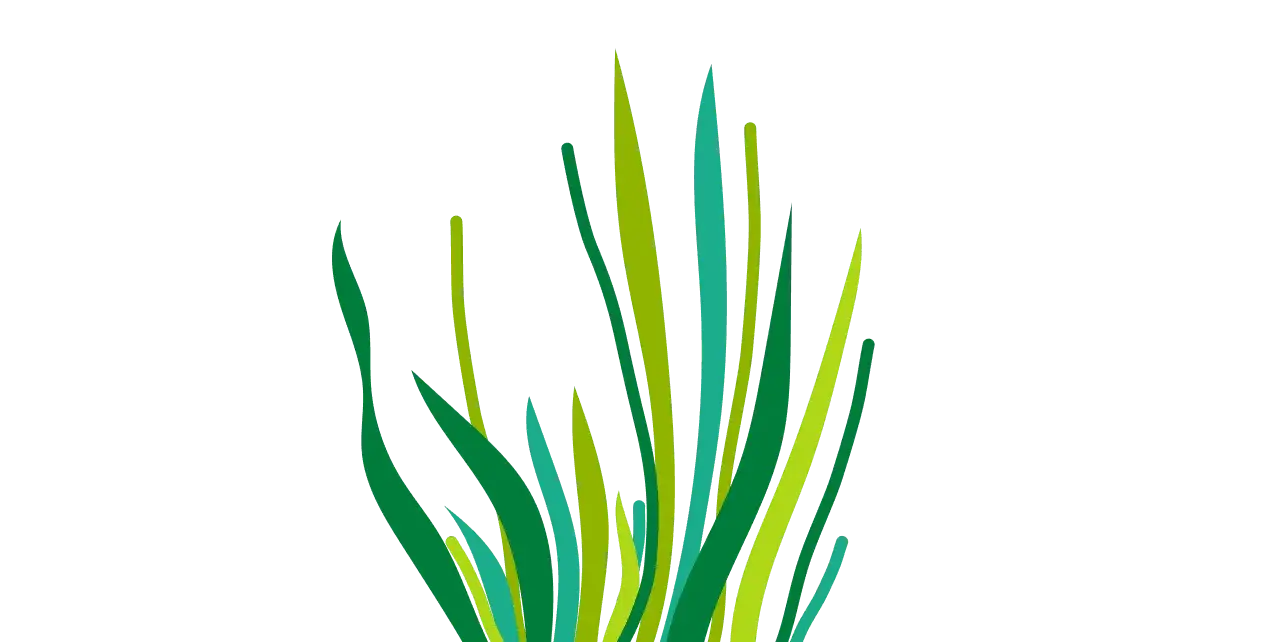 Grasses Illustration