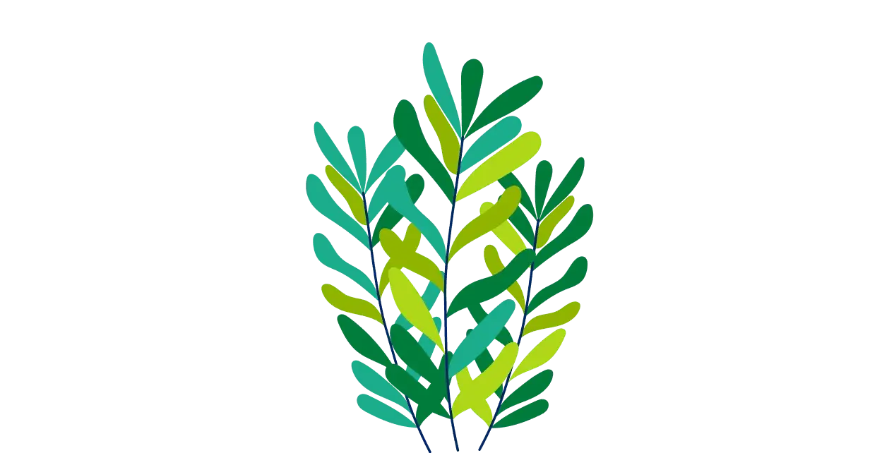 Herbs Illustration