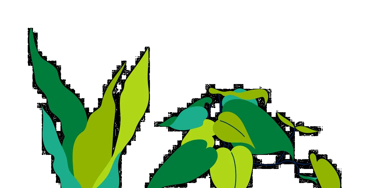 Houseplants Illustration