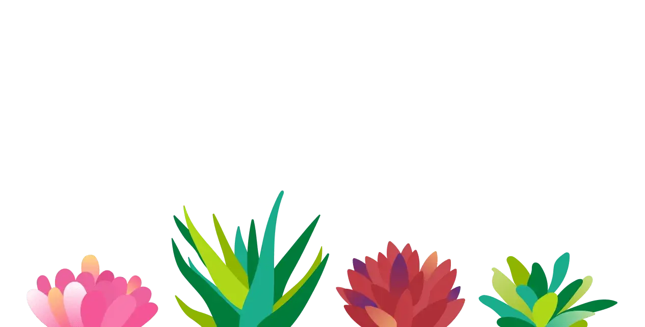 Succulents Illustration